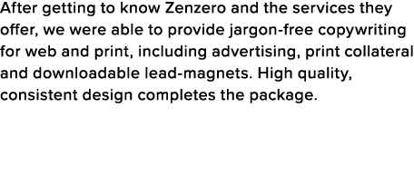 After getting to know Zenzero and the services they offer, we were able to provide jargon-free copywriting for web an   