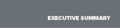 EXECUTIVE SUMMAR