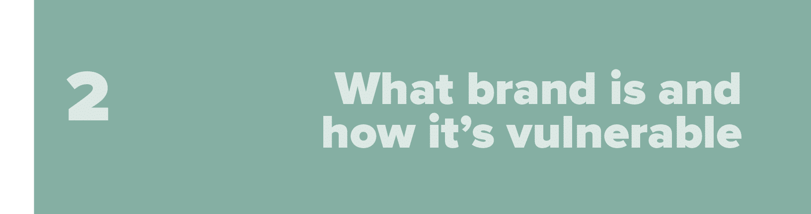 What brand is and how it s vulnerable,