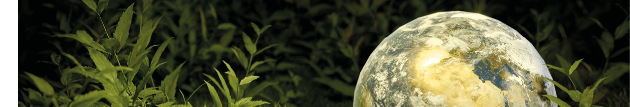 Environmental Ecology Sustainability and Earth Day Concept. Planet Earth on green grass cinematic scene banner background. 3D render