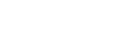 The Council Plan 2020-2025